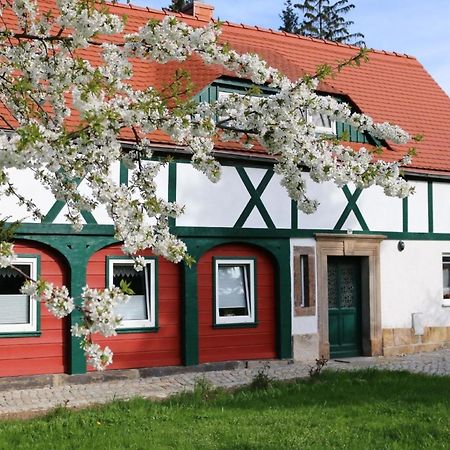 Ferienwohnung In Kurort Jonsdorf Mit Terrasse, Grill Und Garten Exterior foto